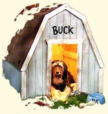 Bild mit Buck in der Hundeh�tte